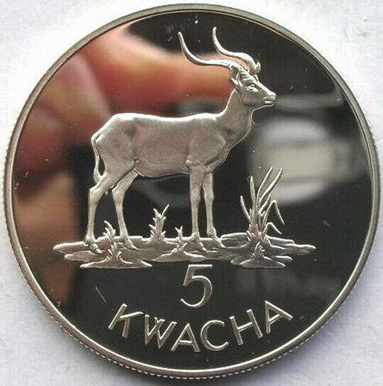 Zambia 1979 Kafue Lechwe 5 Kwach Silver Coin,Proof